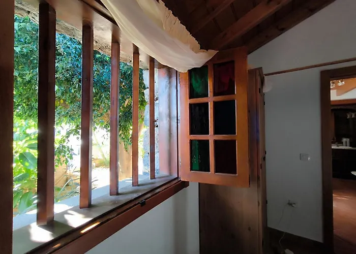 Veronica Domek alpejski Candelaria