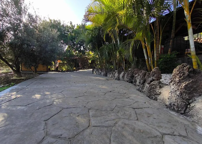 Veronica Domek alpejski