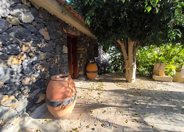 Veronica Domek alpejski *